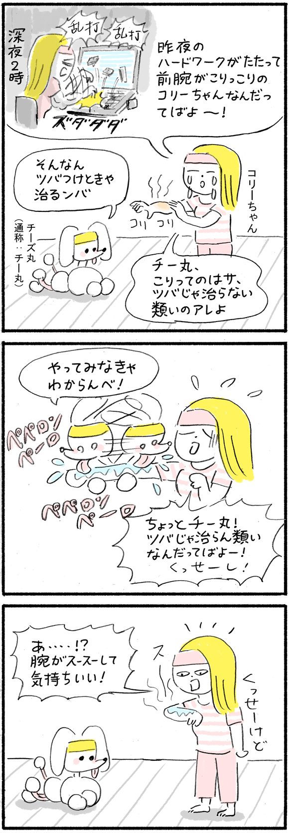コリーちゃん 都内在住の30代女性。仕事はライフスタイル系のライター。職業がら深夜遅くまでのPC作業が多く、つねに運動不足気味で寝不足がち。 チーズ丸(チー丸) コリーちゃんの飼い犬(オス)。見た目の可愛さに反して態度がデカい。好物はチーかま。