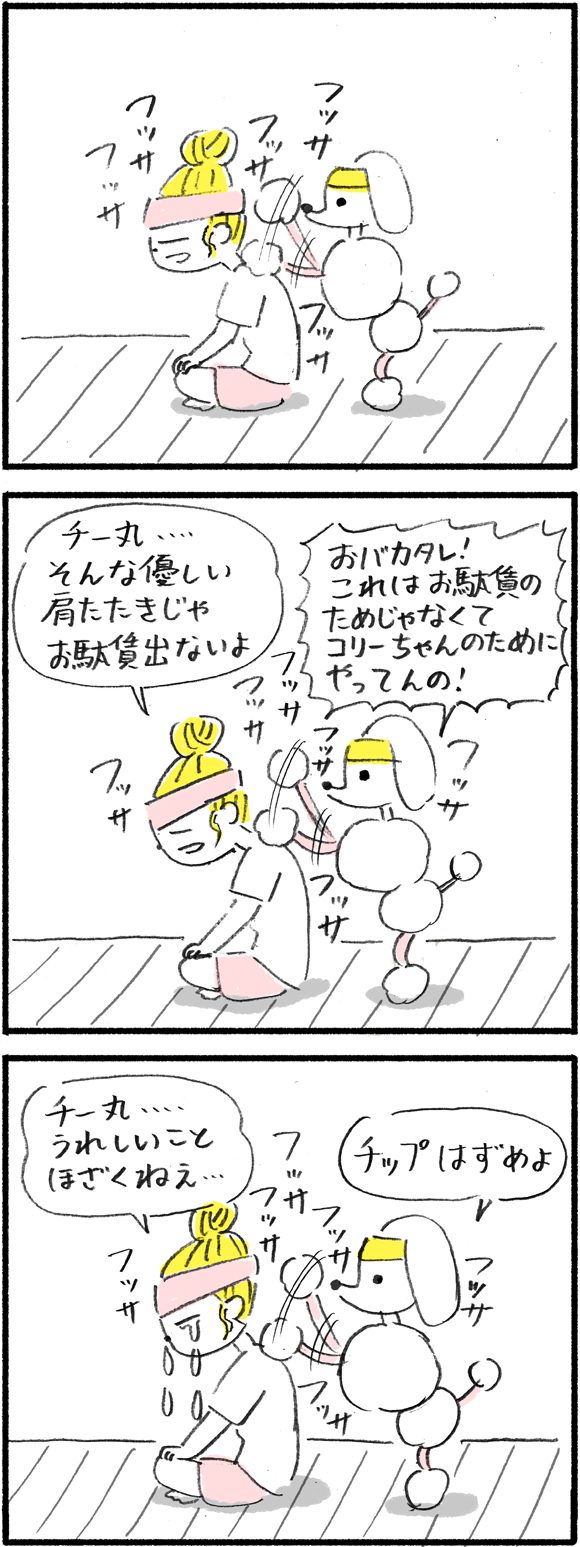 コリーちゃん : 都内在住の30代女性。仕事はライフスタイル系のライター。職業がら深夜遅くまでのPC作業が多く、つねに運動不足気味で寝不足がち。 チーズ丸(チー丸) : コリーちゃんの飼い犬(オス)。見た目の可愛さに反して態度がデカい。好物はチーかま。