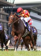 G1シーズン到来! サラブレッドはアスリートだ! 競走馬の身体能力の秘密に迫る。 G1シーズン到来! サラブレッドはアスリートだ! 競走馬の身体能力の秘密に迫る。