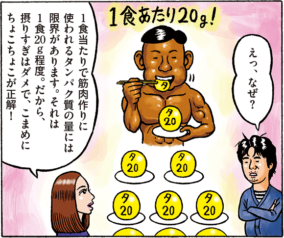 川崎:えっ、なぜ? 杉島:1食当たりで筋肉作りに使われるタンパク質の量には限界があります。それは1食20g程度。だから、摂りすぎはダメで、こまめにちょこちょこが正解!