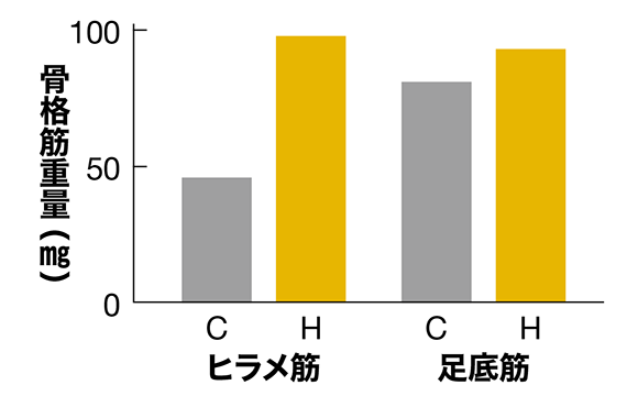 都市伝説1