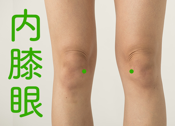 内膝眼の位置