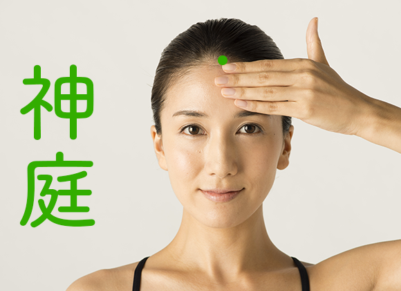 新庭1