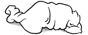 ミイラ