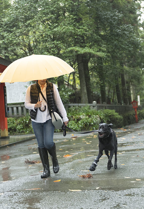 雨でもお散歩水たまり〜
