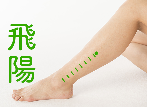 飛陽1