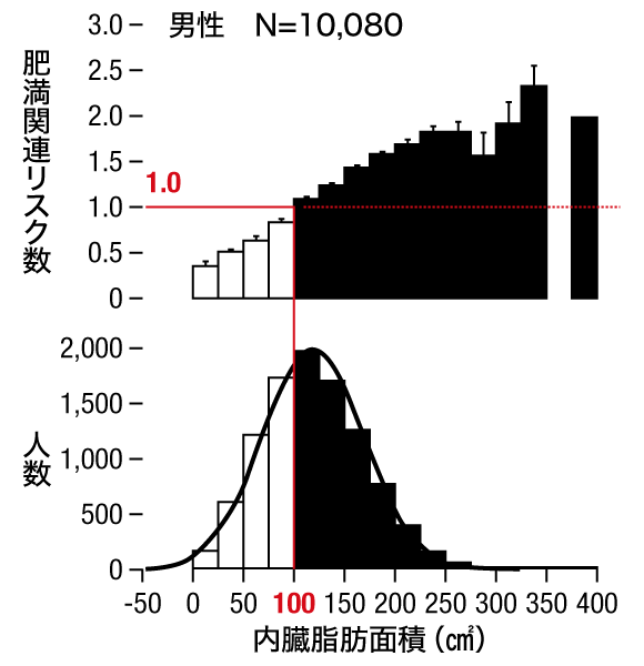 内臓脂肪面積100cm2がピークに。