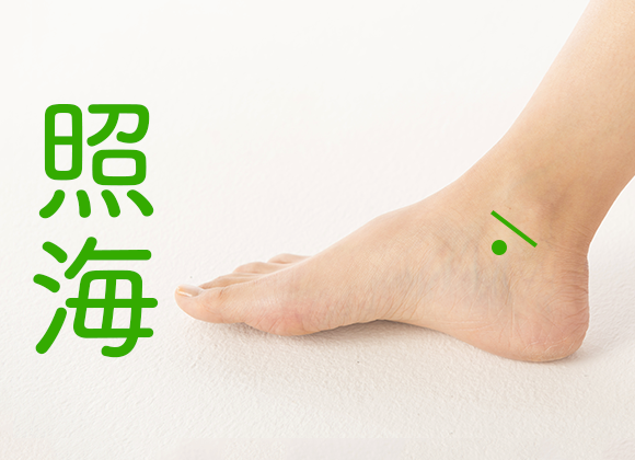 照海1