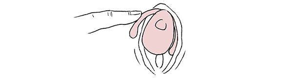 How to use